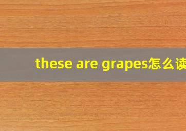 these are grapes怎么读